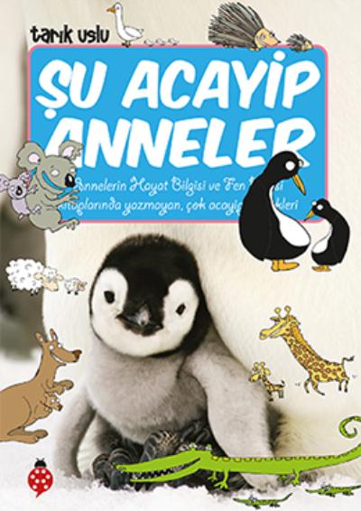 Acayip Şeyler Dizisi 18 Şu Acayip Anneler